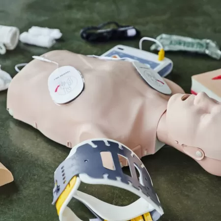 3d Educational Materials