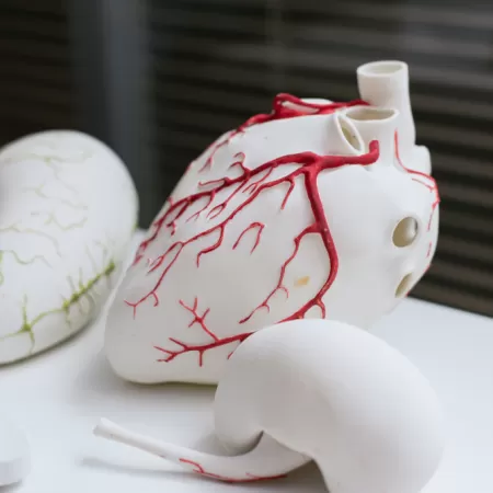 3d Printers In Education Sector