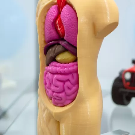 3d Printing In Education Sector 1