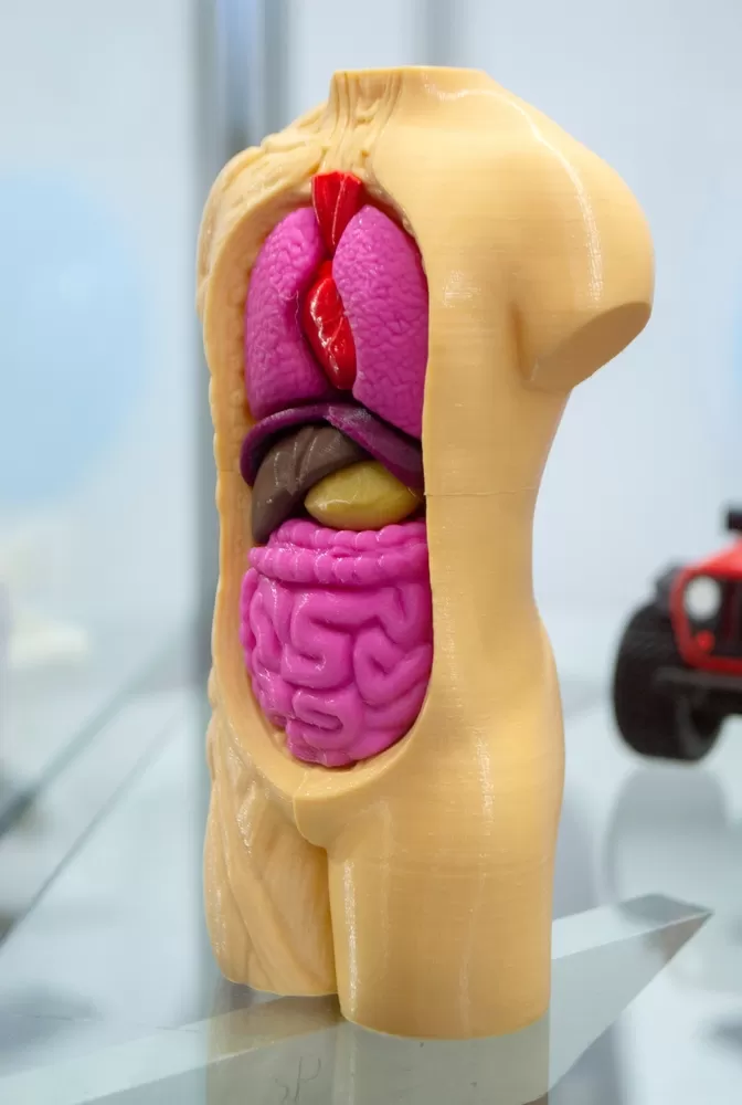 3d Printing In Education Sector 1