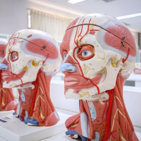 3d Printing In Education1