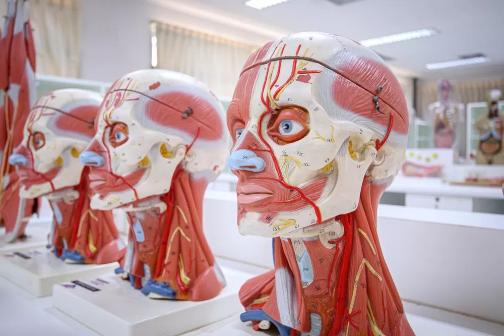 3d Printing In Education1