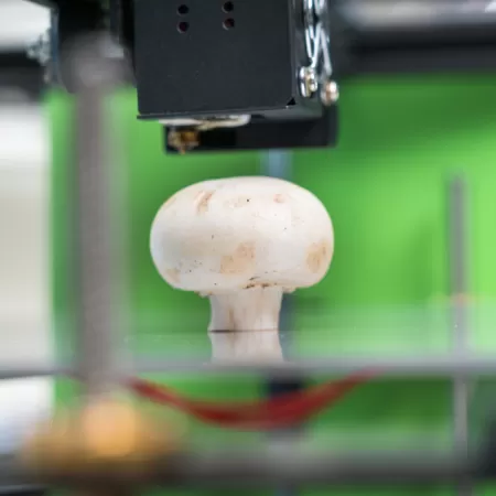 3d Printing Of Food1