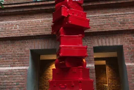 Görsel 7
