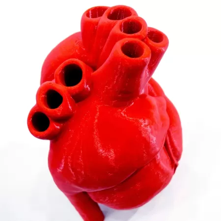 Dentald Manufacturing 4