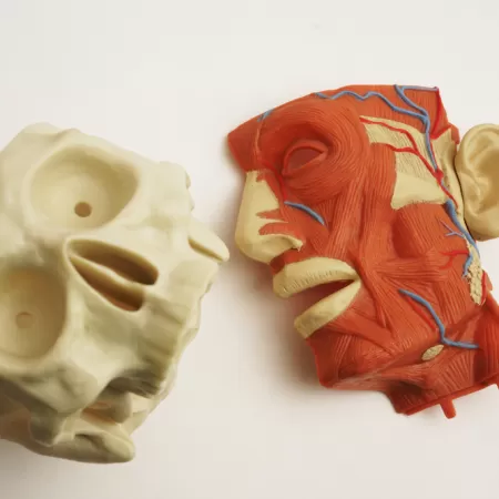 Dentald Manufacturing 5