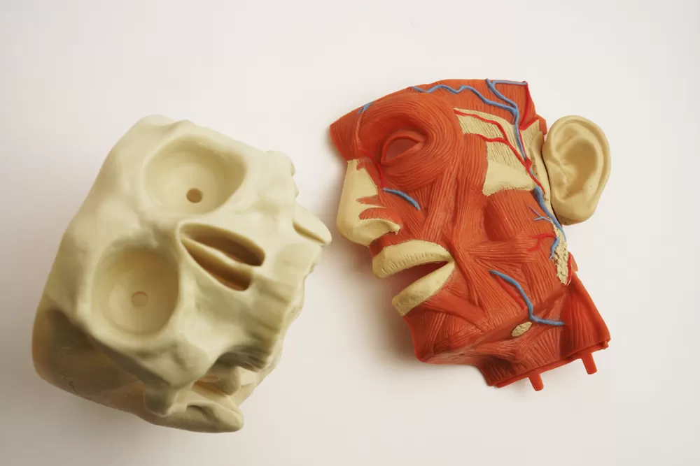 Dentald Manufacturing 5