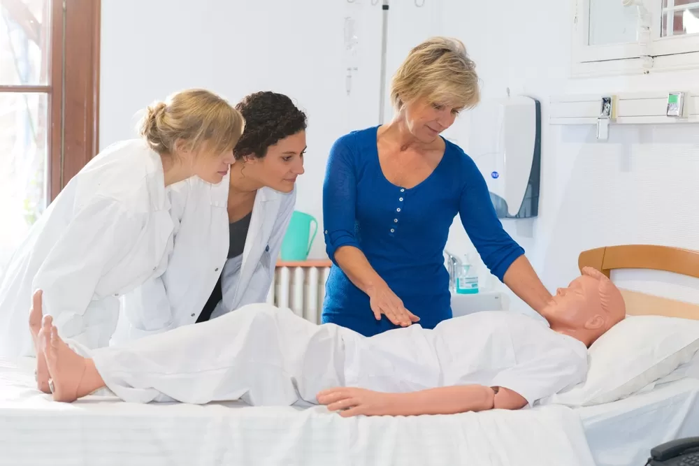 Education 3d Production