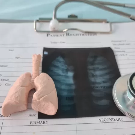 Educational Materials Production