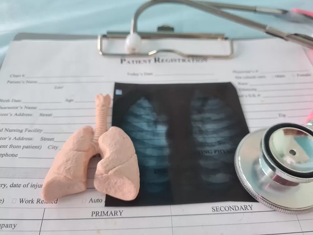 Educational Materials Production