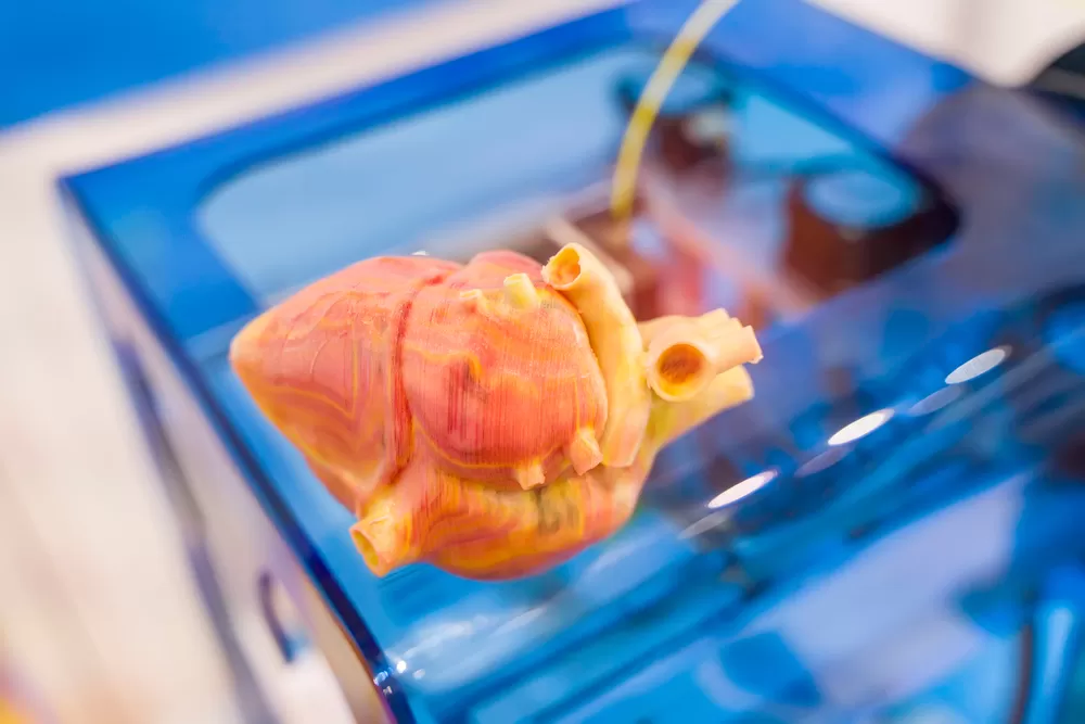 Places Of Medical 3d Manufacturing