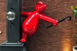 Görsel 6