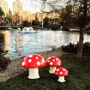 Fiberglass Production Projects 2