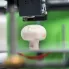 How is 3D Printing Used in Agriculture?