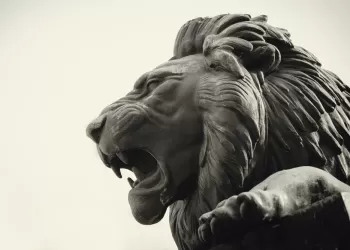 Animal Statue Production