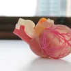 The Future of 3D Printing in the Healthcare