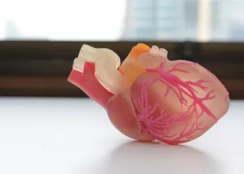 The Future of 3D Printing in the Healthcare