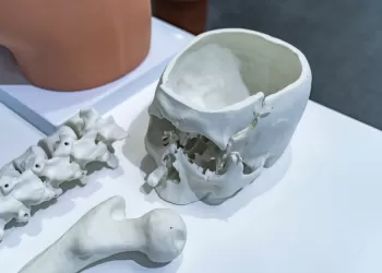 Organ Production with 3D Printing