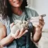 Material Selection in Sculpture Making